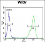 TPPP3 Antibody (C-term)